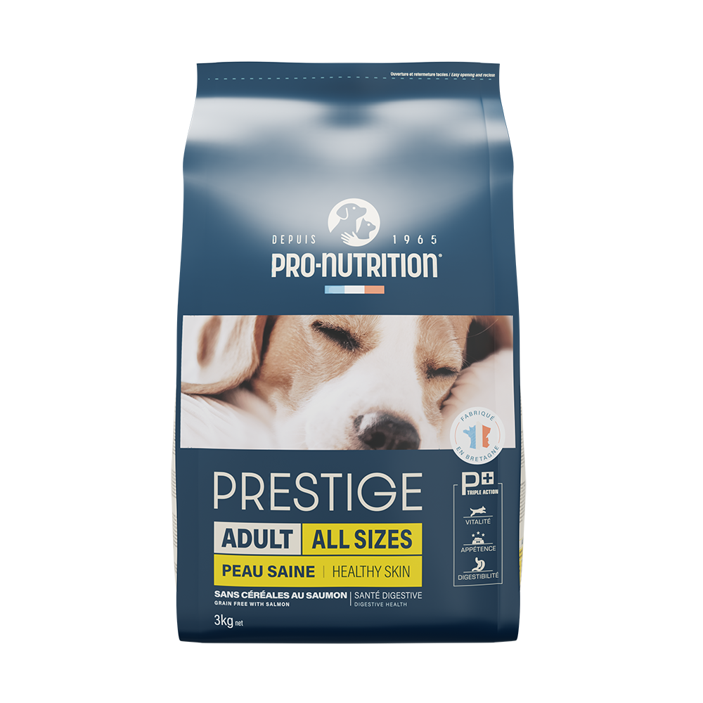 Dog food with salmon 3 kg