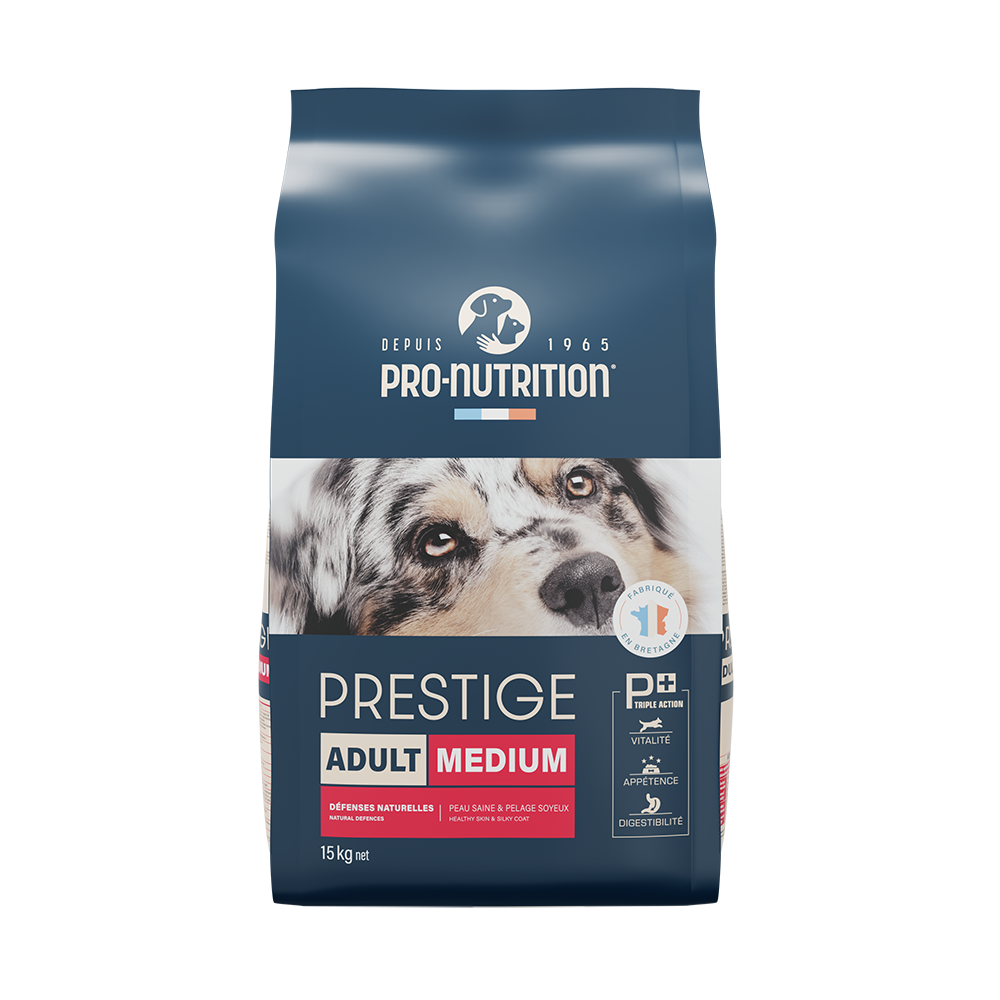Food for adult dogs 15 kilograms | A profitable operation
