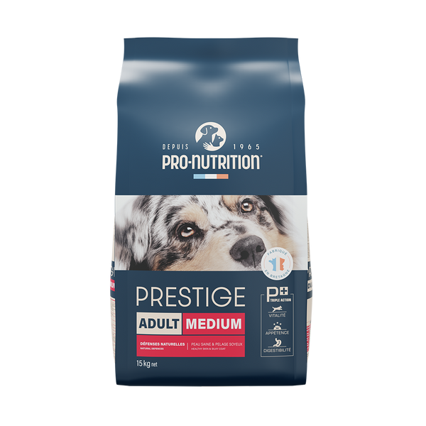 Food for adult dogs 15 kilograms | A profitable operation