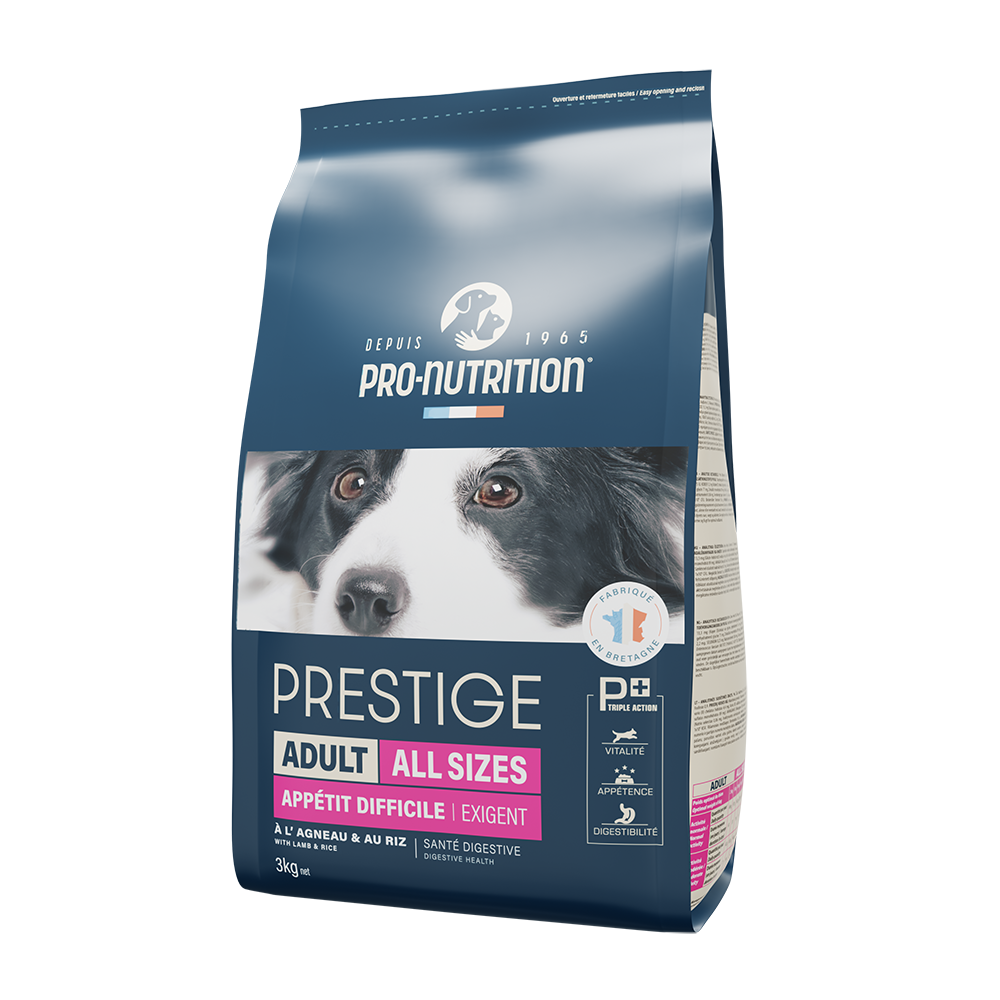 Food for adult dogs with lamb and rice 3 kilograms