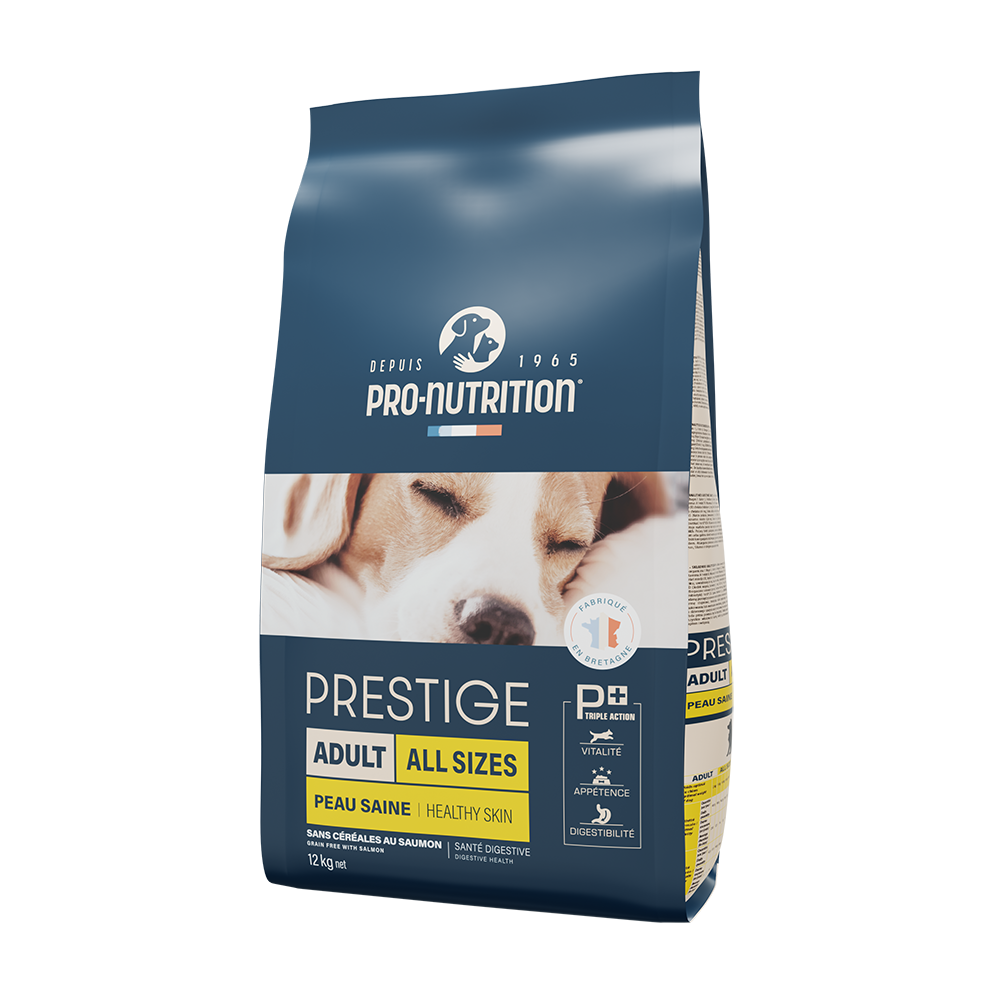 Dog food with salmon A bag weighing 12 kg