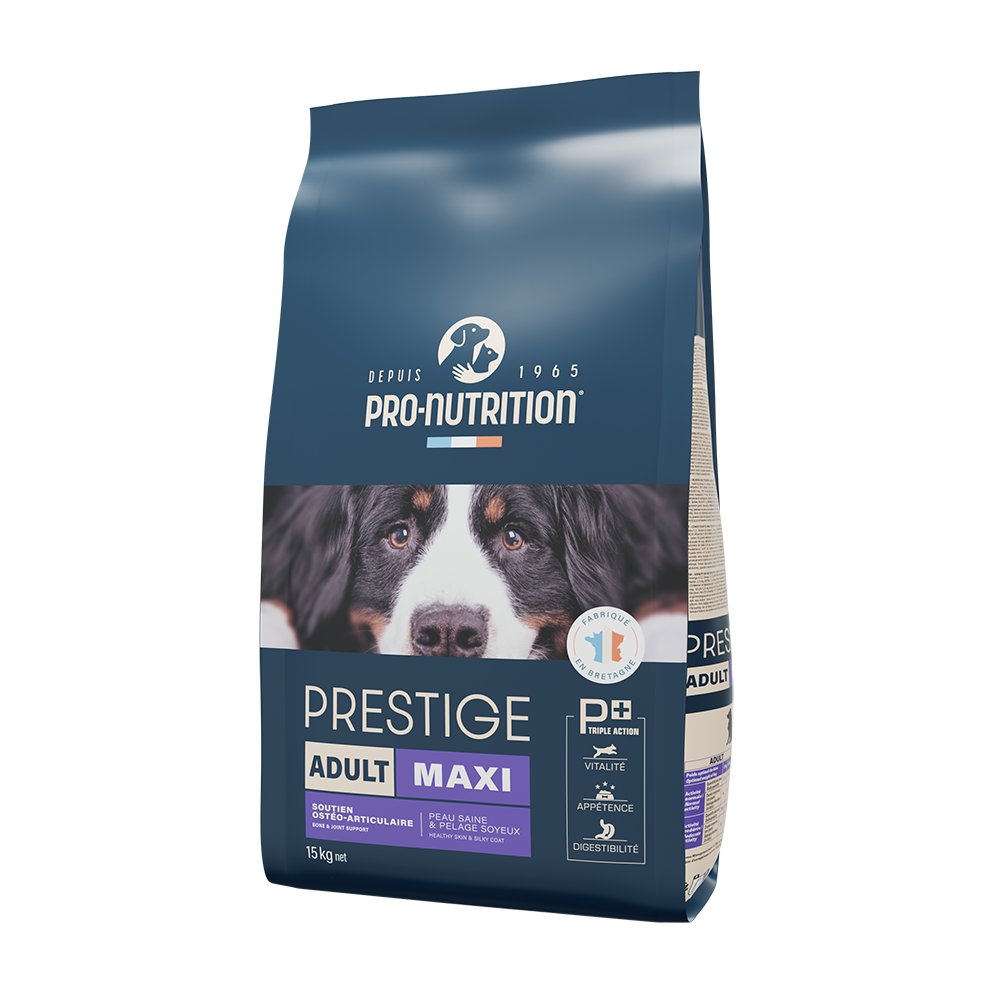 Food for large breed adult dogs A bag weighing 15 kg