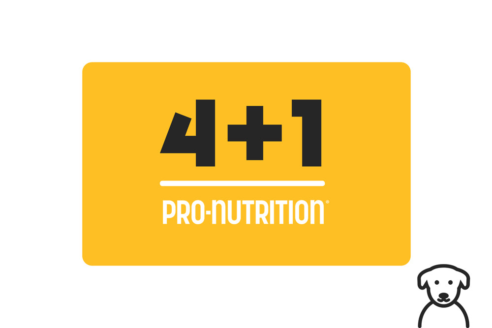 שקים במשקל 12 קילוגרם אוכל כלבים > אוכל לכלבים בוגרים Pro Nutrition