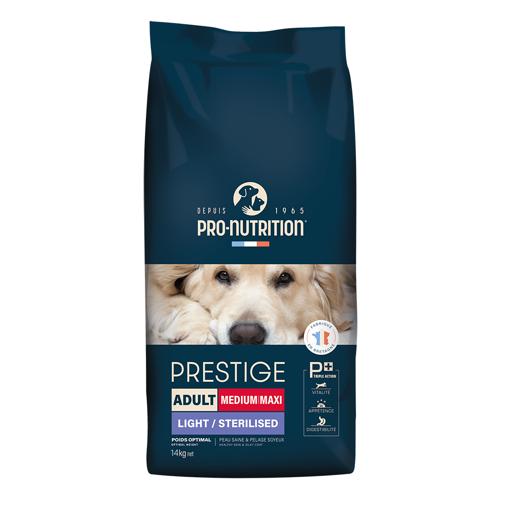 שק 14 קילוגרם אוכל כלבים > אוכל לכלבים בוגרים Pro Nutrition