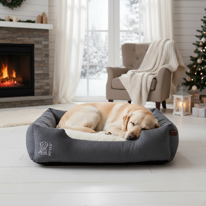 מתאים לכלב גדול מיטה לכלבים > מיטה מלבנית M-Pets