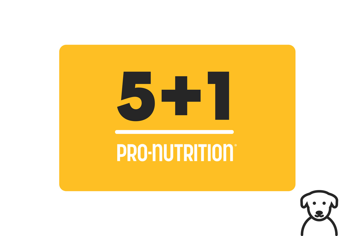 שקים במשקל 8 קילוגרם אוכל כלבים > אוכל לכלבים בוגרים Pro Nutrition