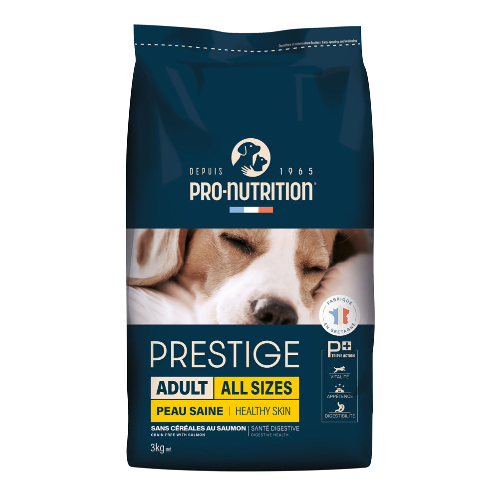 Dog food with salmon 3 kg