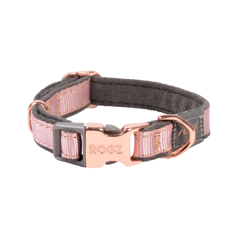 Urban dog collar in a variety of colors