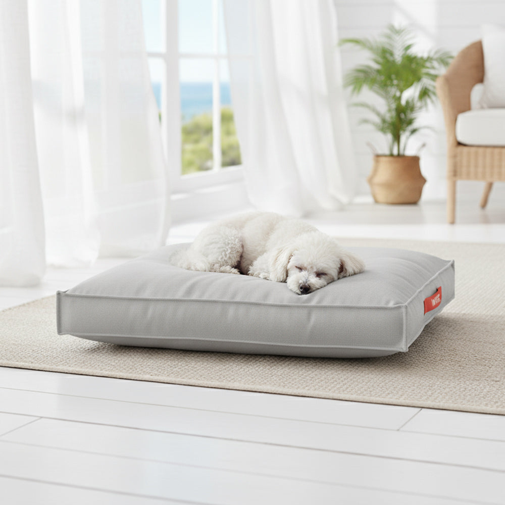 מתאים לכלב קטן מיטה לכלבים > כרית מלבנית M-Pets