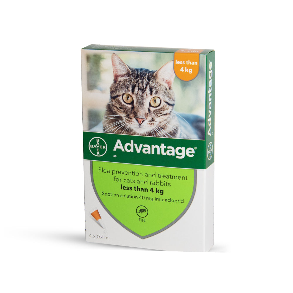 Ampoule Advantage for cats up to 4 kg