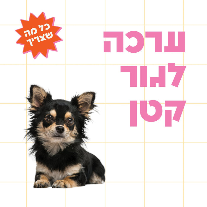 ערכה לאימוץ כלב חדש | גור מגזע קטן