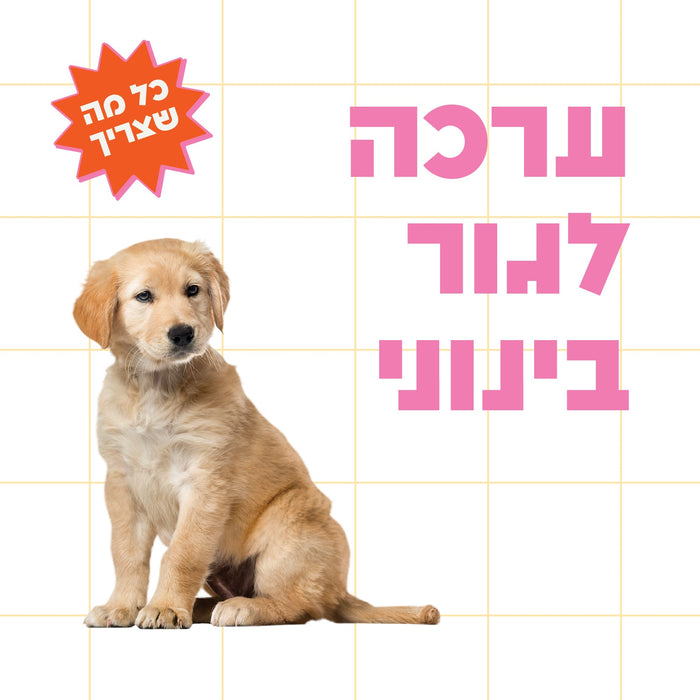 ערכה לאימוץ כלב חדש | גור מגזע בינוני