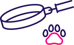 התאמה לגור חדש