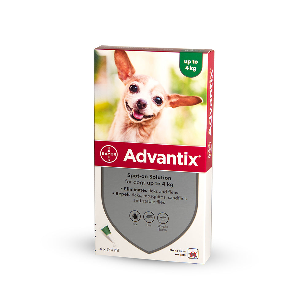 Adventix ampoule for dogs weighing up to 4 kilos