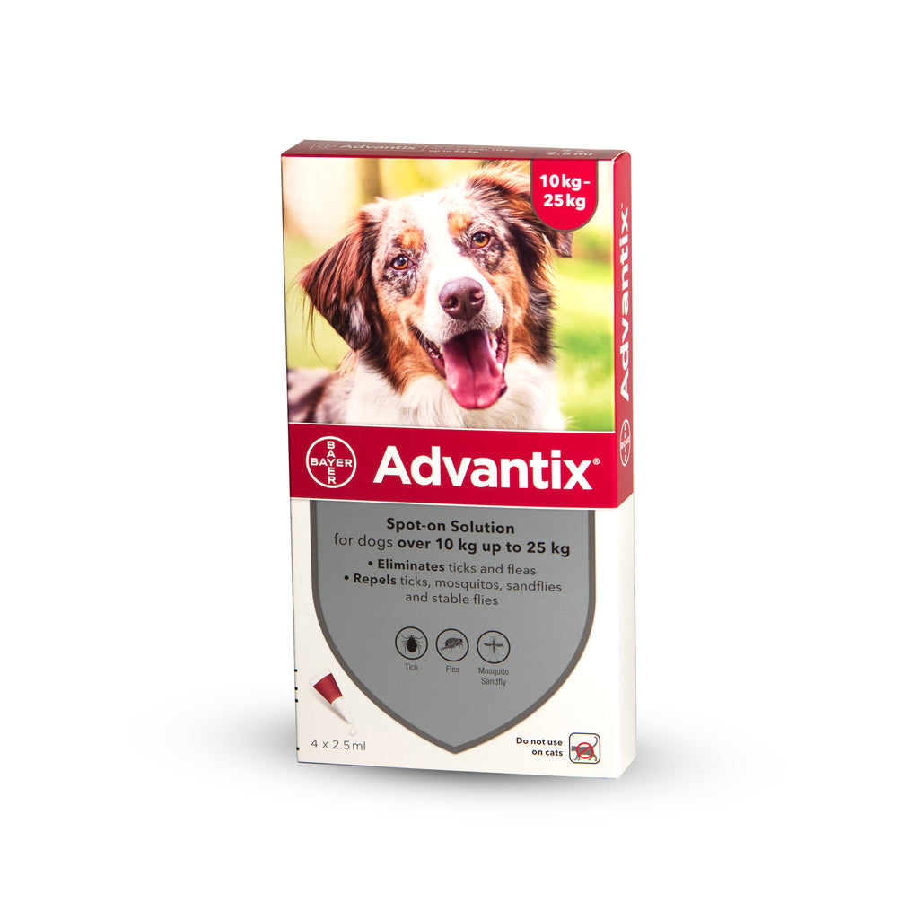 Adventix ampoule for dogs weighing 10-25 kg