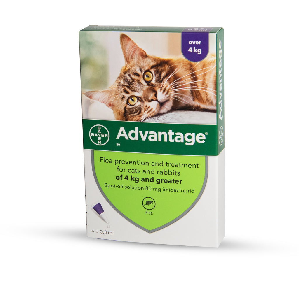 Ampoule Advantage for cats over 4 kg