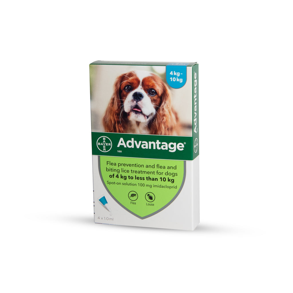 Ampoule Advantage for dogs weighing 4-10 kilograms