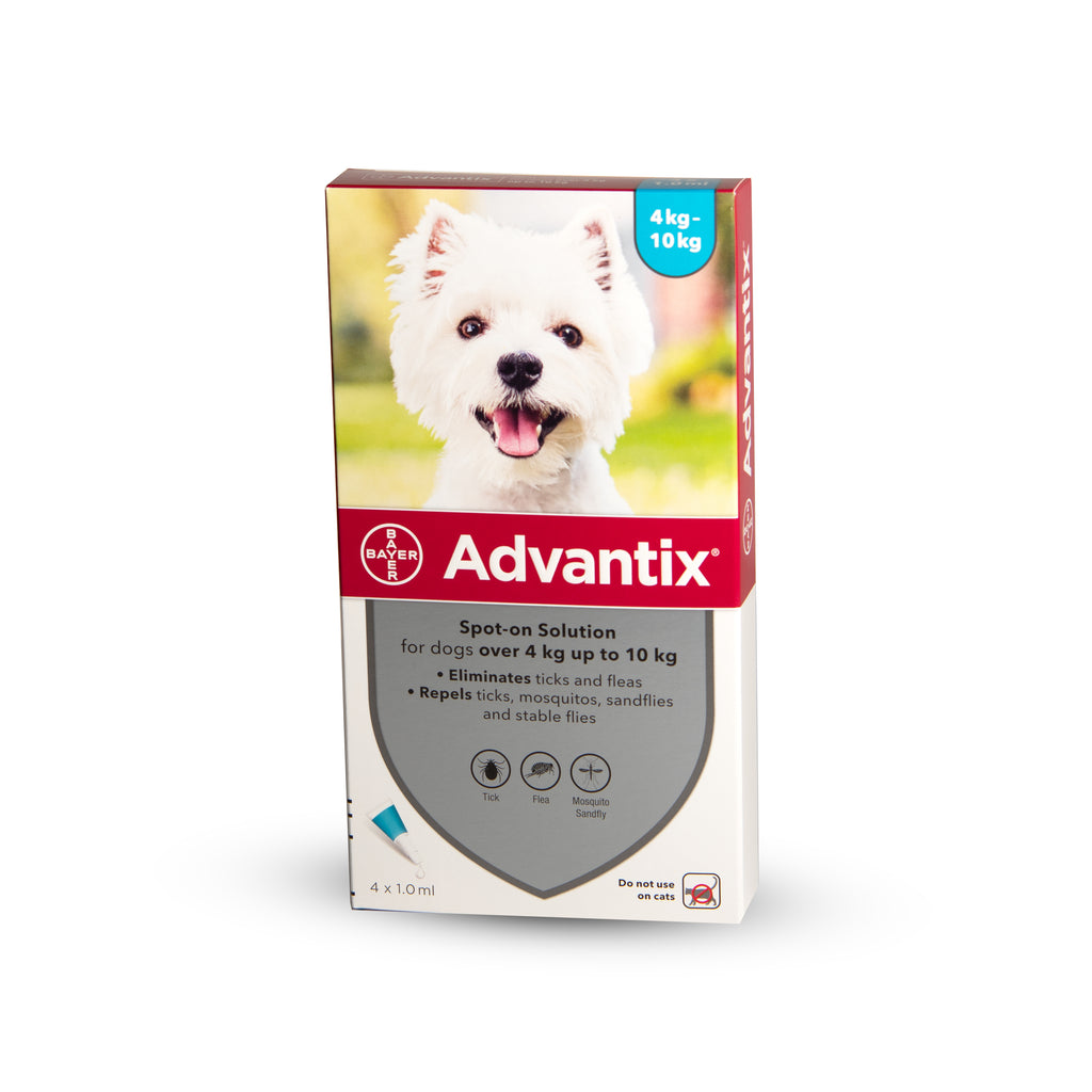 Adventix ampoule for dogs weighing 4-10 kg