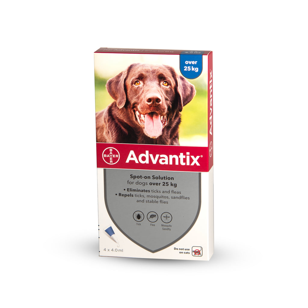 Adventix ampoule for dogs weighing over 25 kg